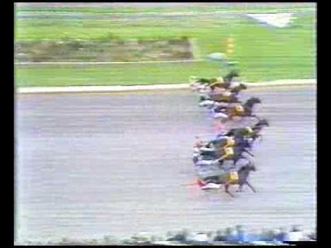 Solvalla Jubileumspokalen 1979 - Pershing / Berndt Lindstedt