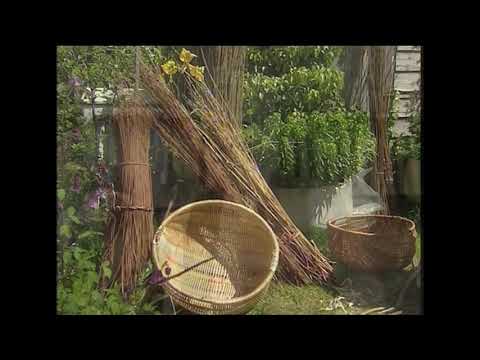 DJ Davies - how it all began