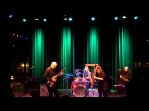 Elliott Sharp / Carbon 03-31-10 Bimhuis 2nd Set Excerpt  # 2