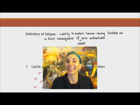 Muscle Fatigue & Muscle Mass