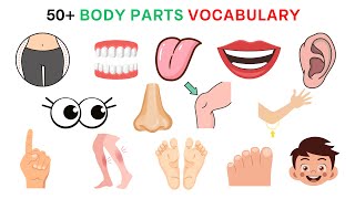 50+ English Vocabulary About Body Parts | English Vocabulary | Body Parts Name In English