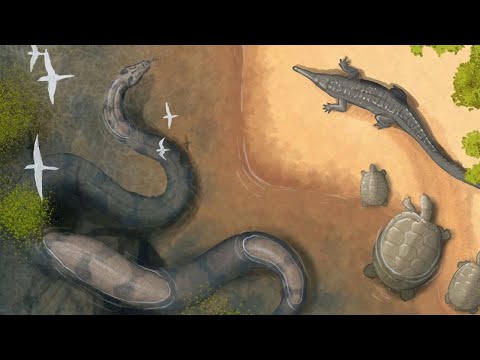 The Prehistoric Snakes That Would’ve Given Titanoboa Ophidiophobia