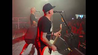 millencolin yellow dog