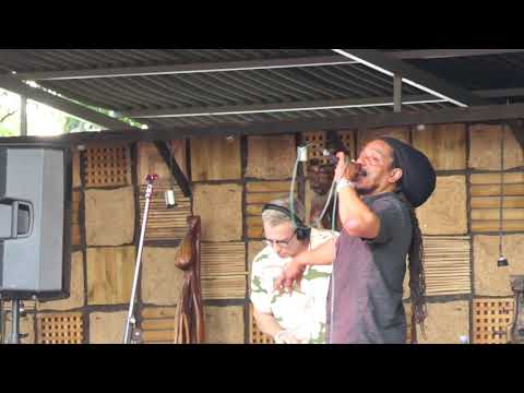 Dreadzone sound system 6.7.2019 Cross