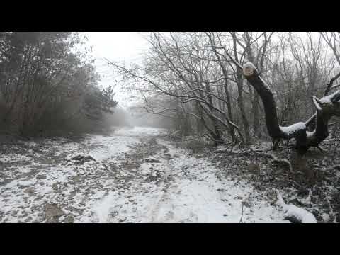 Walk in the forest in November | Nitra (Zobor) Slovakia | Relax music | 4K