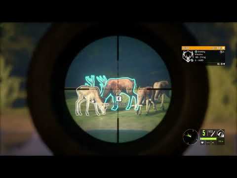 The Hunter Call of the Wild 308. Zarza VS. Red Deer Cuatro Colinas!