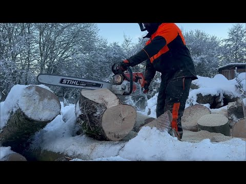 Stihl MS661 C Chainsaw cutting rounds for Firewood