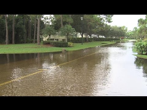 南部リー郡では湿潤状態が続いている。 (Wet conditions continue in south Lee County)