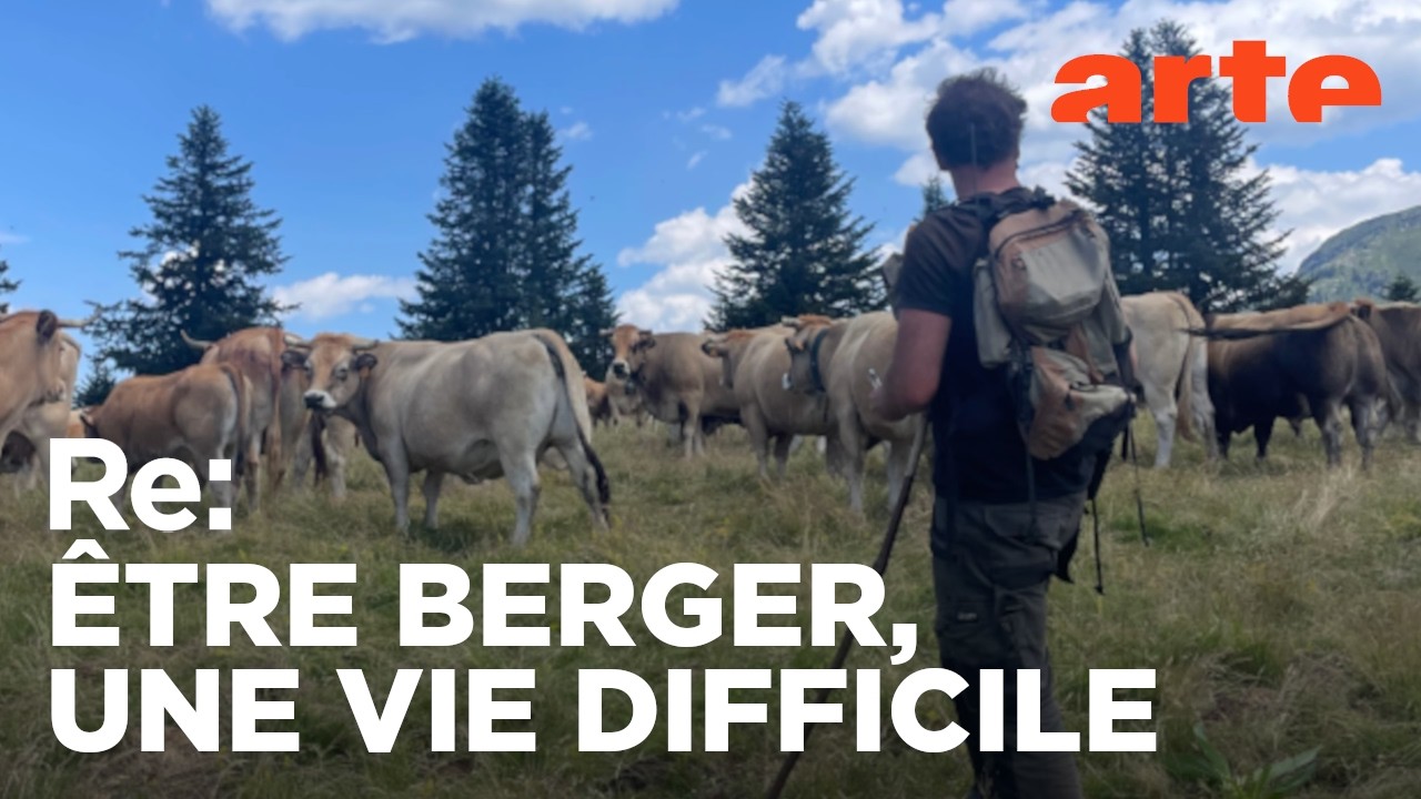 France : les bergers en colère | ARTE Regards