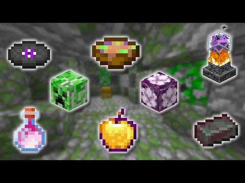 TOP 10 RAREST ITEMS IN MINECRAFT!!! + How To Get Them!