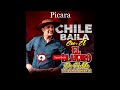 Picara -  El Llanero De Ñuble (Audio)