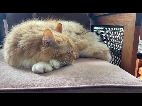 This is my brother Casper