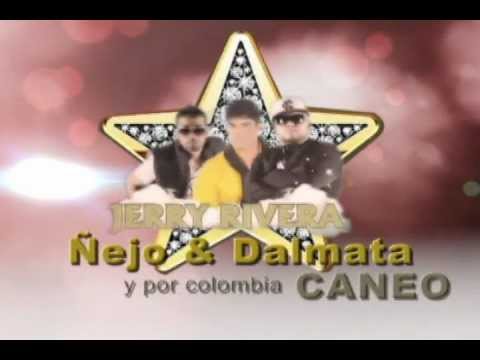 Super Concierto CARPA  PLATINO! Jerry Rivera, Ñejo y Dalmata