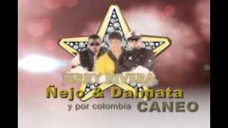 Super Concierto CARPA  PLATINO! Jerry Rivera, Ñejo y Dalmata