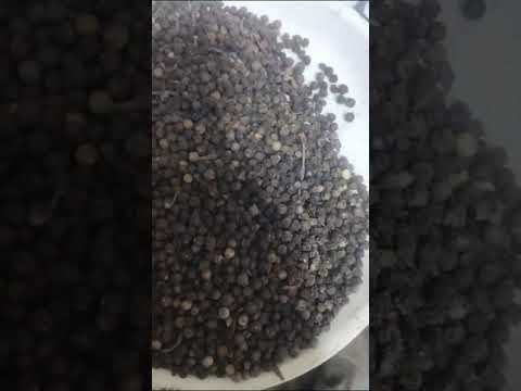 Malabar india black pepper chikmangalore, packaging size: 25...