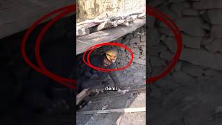 Download lagu Every morning he says goodbye, but he's not necessarily coming home. mp3