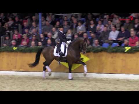 Escorial v. Estobar NRW - Fürst Piccolo / Hengstschau Vechta