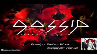 Gossip - Perfect World ( Expander remix )