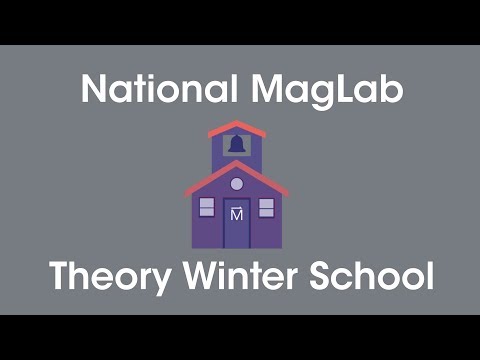 MagLab Theory Winter School 2019: Luis Balicas