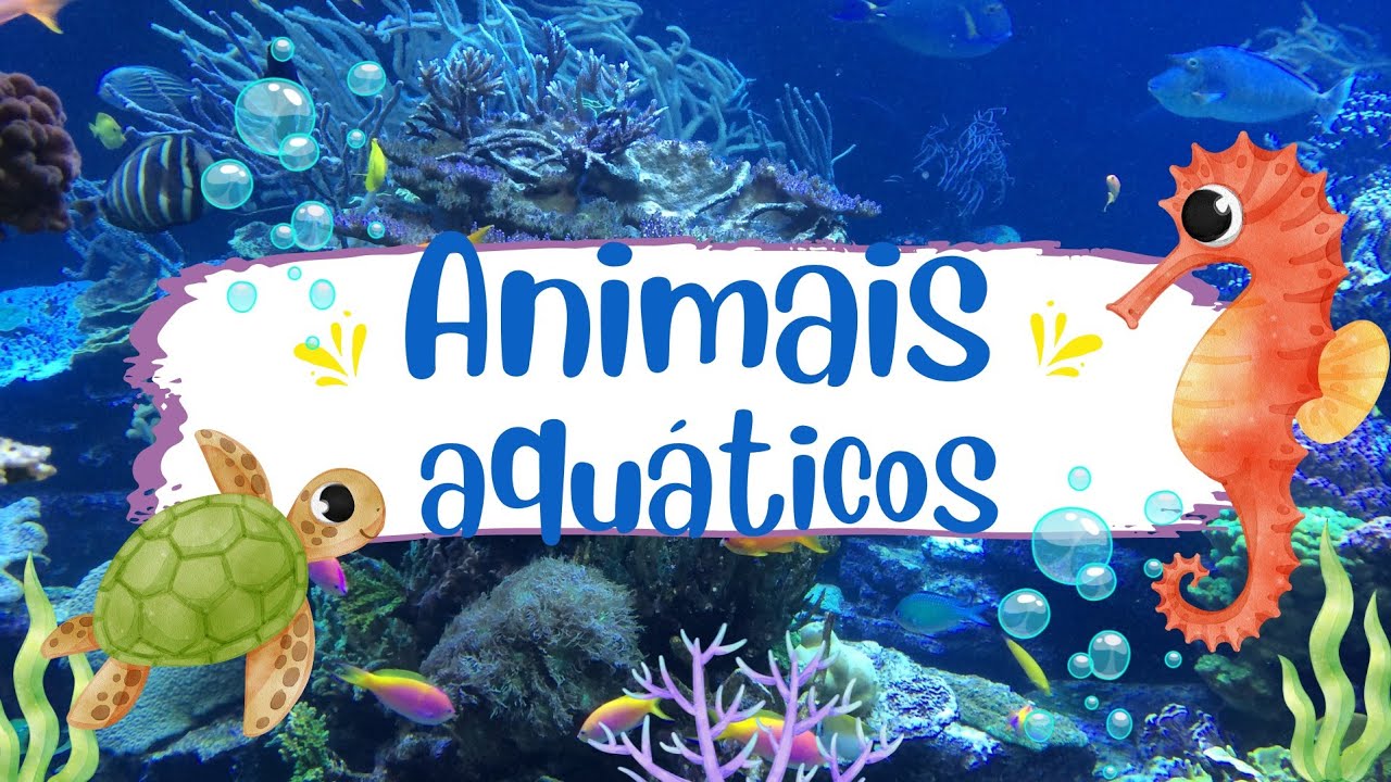 ANIMAIS AQUÁTICOS PARA CRIANÇAS- educação infantil 🐳