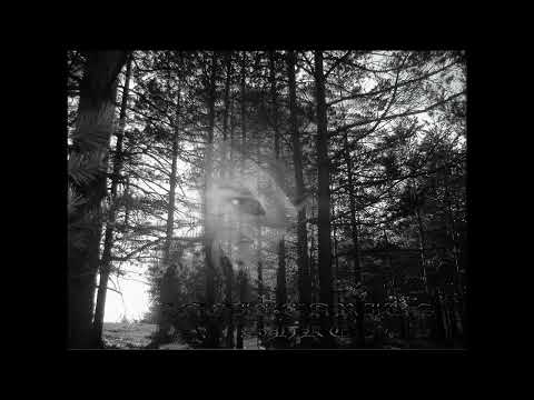 DoShke - Intro (2006)