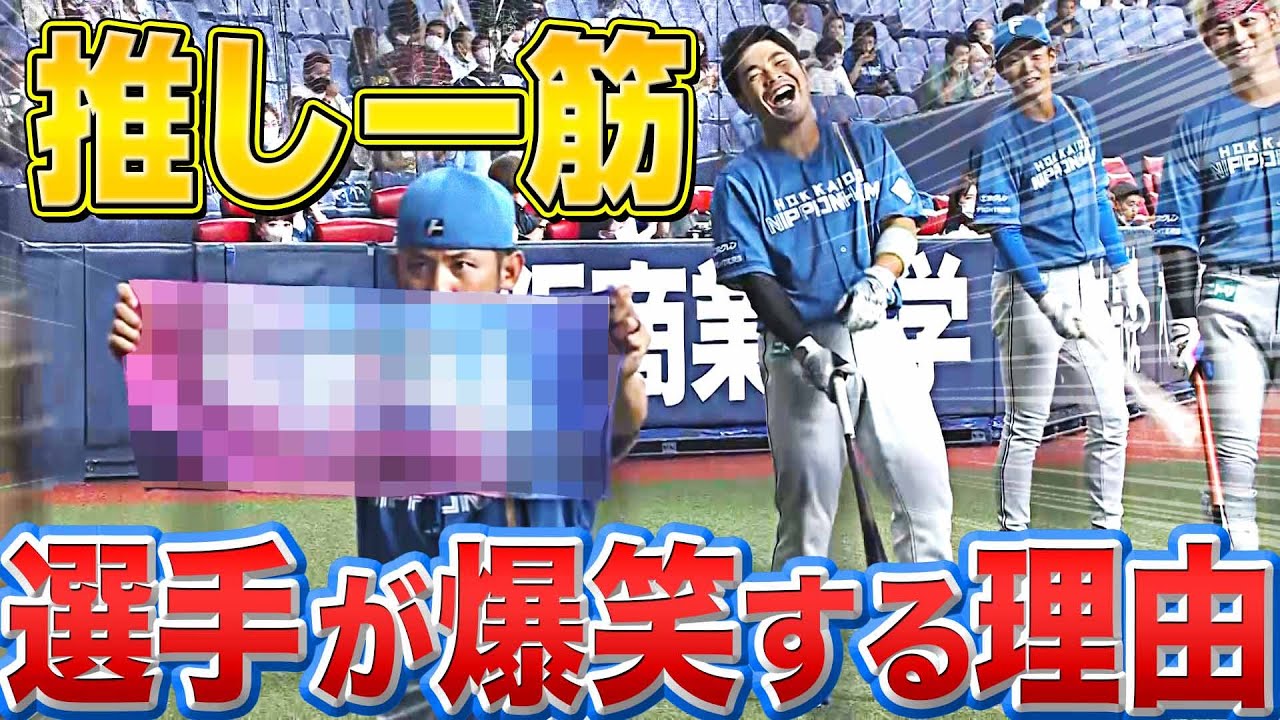 【推し一筋】ファイターズ・矢野コーチに『選手が爆笑している理由…』