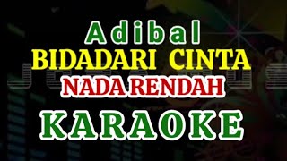 Download lagu BIDADARI CINTA - Adibal [Karaoke//Lirik] NADA RENDAH mp3
