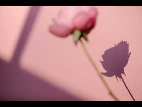 bir sebepsiz aşık oldum ben - canozan (cover)