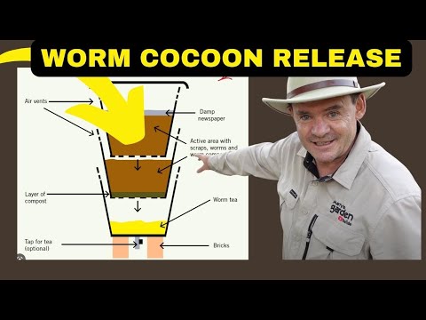 SEE HOW I RELEASE 1000 WORM COCOONS?