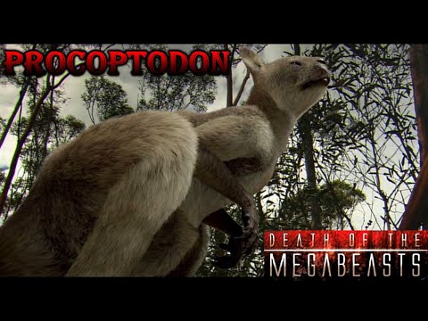 death of the megabeasts procoptodon screen time