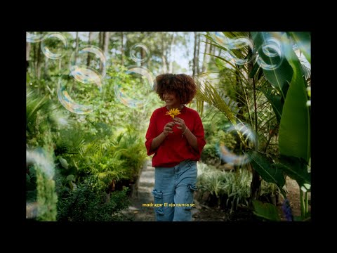 R Nova - Nada nuevo (Visualizer) | Llegaron Los Cristianos