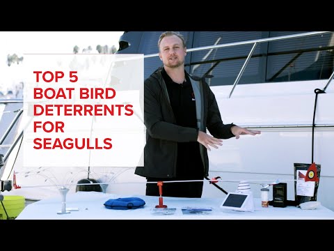 Top 5 BEST Boat Bird Deterrents in 2022 | HOW TO KEEP SEAGULLS OFF YOUR BOAT, DOCK AND MARINA!