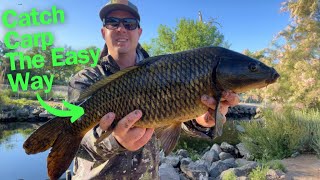 How to Catch Carp Anywhere, With These Fishing Tips