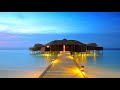 Bluetech - Oleander (Phutureprimitive Symbiotic remix)