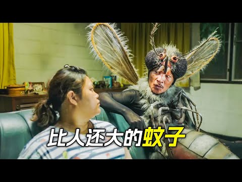 家裡出現大蚊子