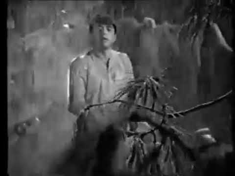 gulshan mein jisse dhunda mehdi hassan film ik raat