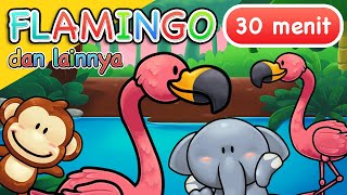 Download lagu Lagu Anak | Flamingo dan Lainnya | 30 Menit mp3