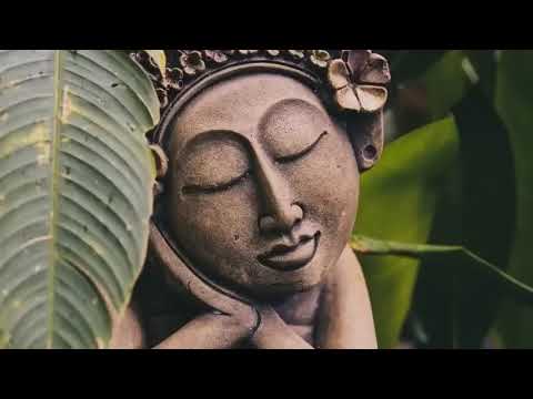 Buddha's Flute Osho Dream 1