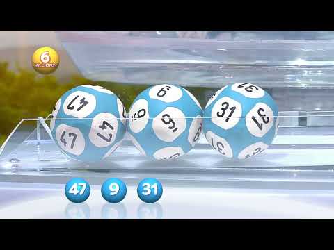 Aperçu vidéo du tirage Loto du Mercredi 13 août 2025