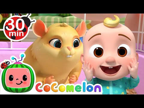 Class Pet Sleepover | CoComelon Furry Friends | Animals for Kids
