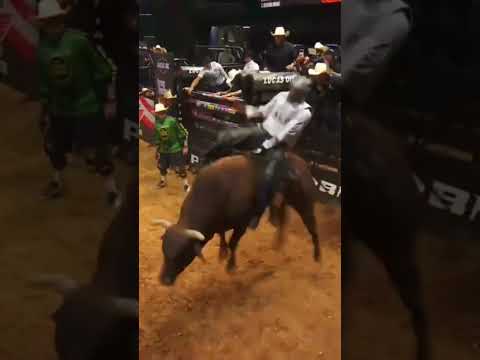 Luciano Henrique De Castro VS The Heat | 89.55 Pontos #leópolis #paraná #rodeo #cowboys #shorts