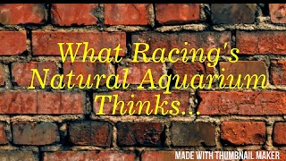 What Racing's Natural Aquariums Thinks