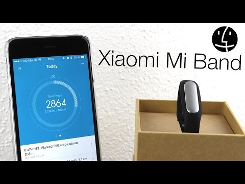 Обзор Xiaomi Mi Band (black)