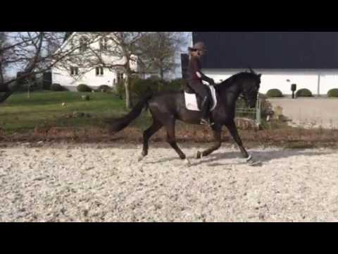 HP Damian e. Damon Hill x Furst Romancier x Don Schufro