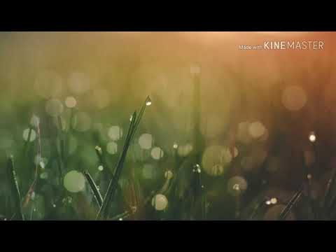 Me Negaram Amor (part. MC Davi e Cynthia Luz)  Gaab