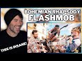 Metal Vocalist First Time Reaction The Most INSANE Bohemian Rhapsody Flashmob You Will Ever See
