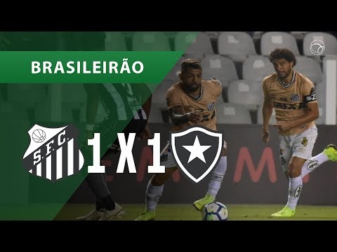 SANTOS 1 X 1 BOTAFOGO - GOLS - 21/11 - BRASILEIRÃO 2018