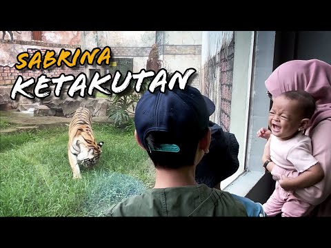 HUJAN-HUJANAN DI LEMBANG PARK AND ZOO