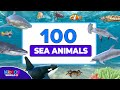 100 Sea Animals Collection Learning Aquatic Animals Names And Videos