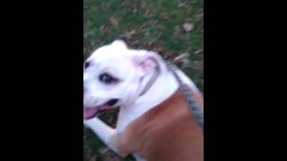 Angel watching silently